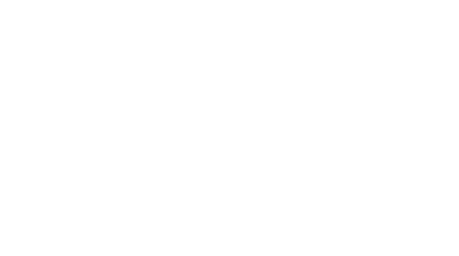 NADI Akaun logo